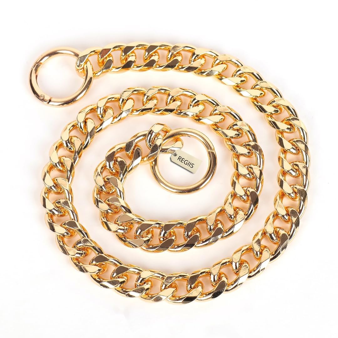 Regiis Gold Chain Dog Collar close-up