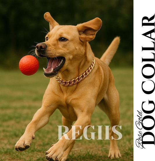 Regiis Luxe Rose Gold Dog Choke Chain Collar – Never Fades | Small