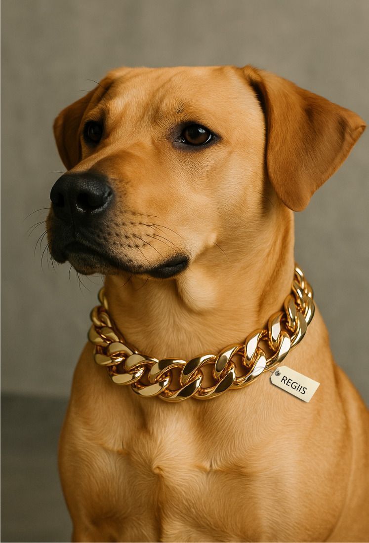 Regiis Luxe Rose Gold dog choke chain collar close-up