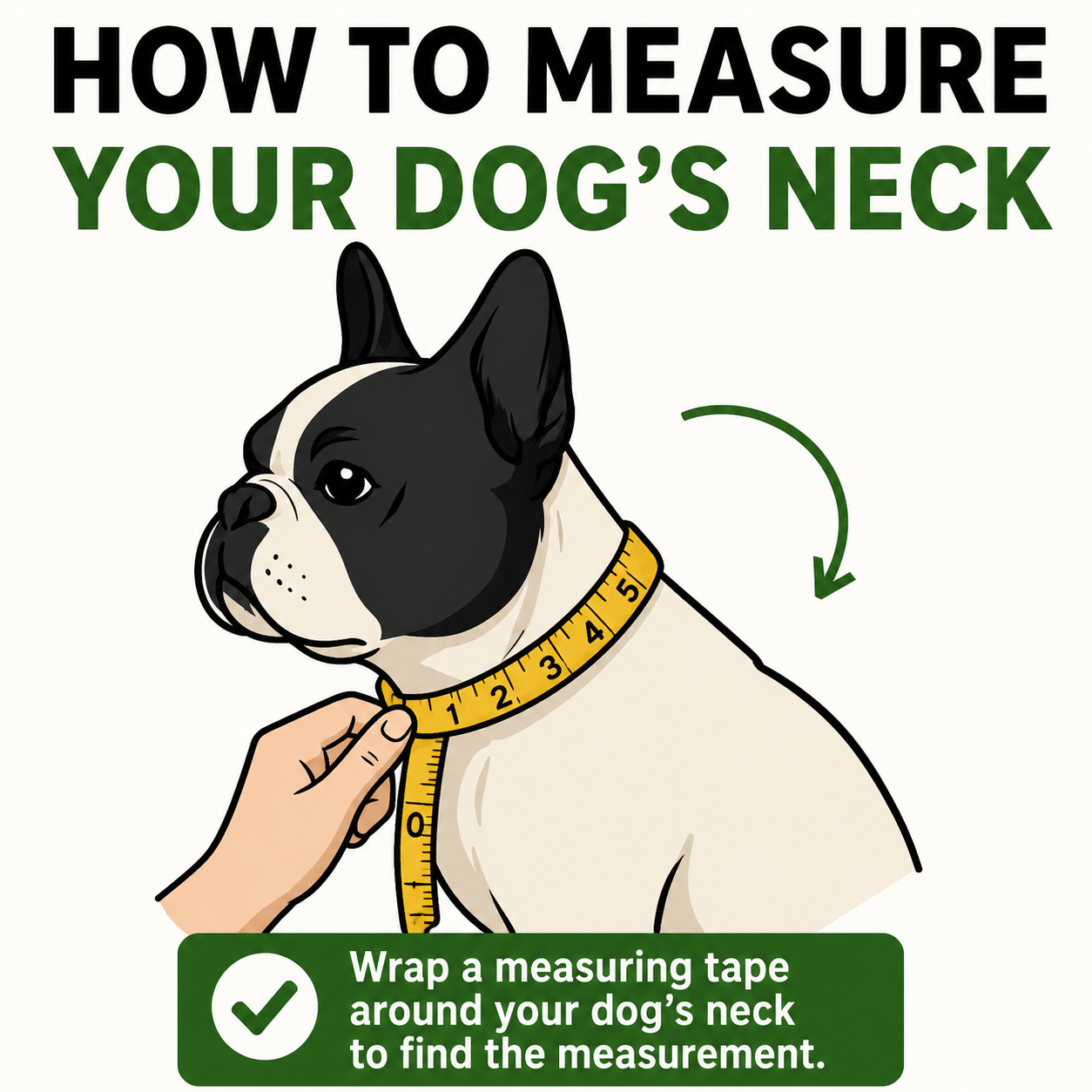 Regiis Golden Chain Dog Collar – Lightweight Choke Chain | Medium (Golden)