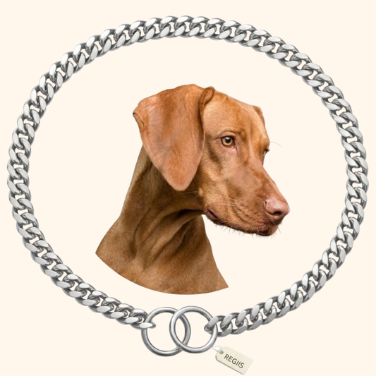 Regiis Silver Dog Choke Chain Collar