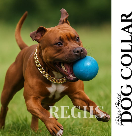 Regiis Luxe Rose Gold Dog Choke Chain Collar – Never Fades | Medium