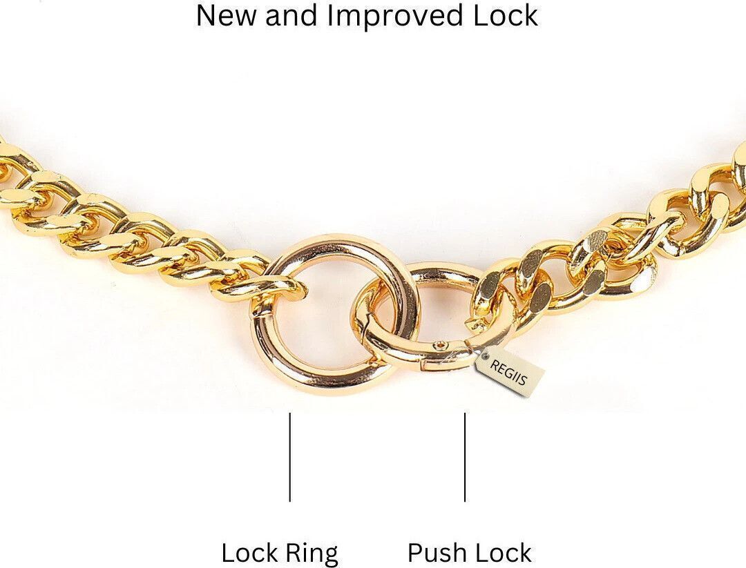 Regiis Golden Chain Dog Collar – Lightweight Choke Chain | Medium (Golden)