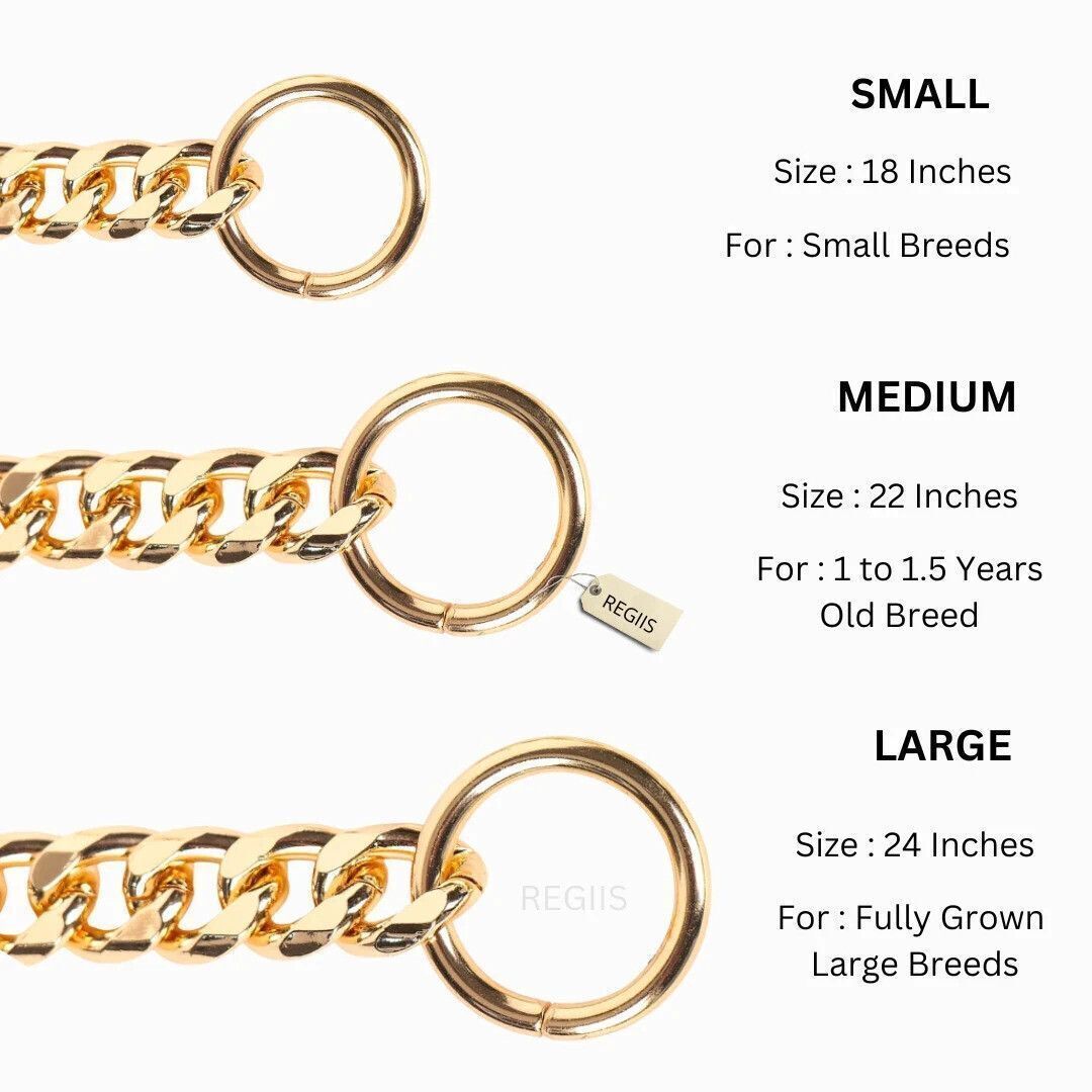 Regiis Gold Dog Choke Chain Collar – Slim Curb Link | Small